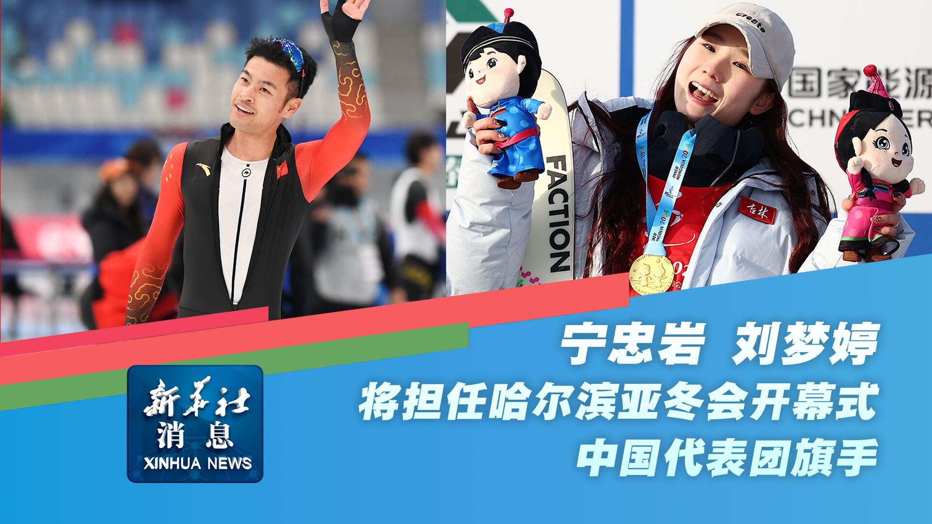 须承担主要