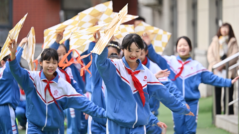 国际案例表